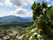 89 La splendida Valle dei mughi